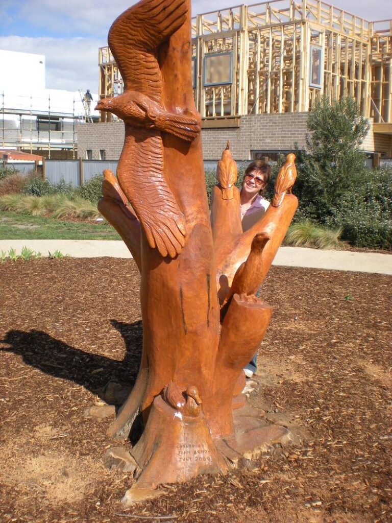 Native Life combining with settlement life in Caroline Springs area carved by John Brady using Chainsaws - view 3