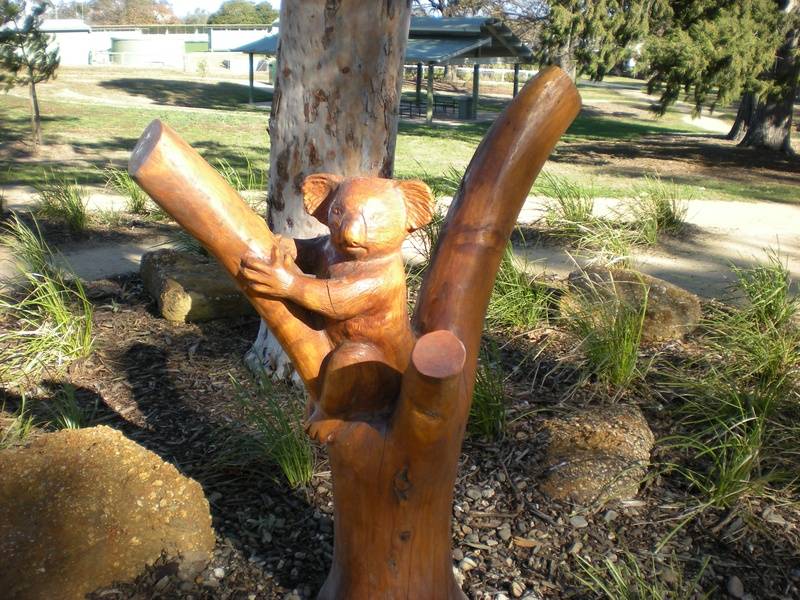 A Full size Koala statue carved with a chainsaw by John Brady