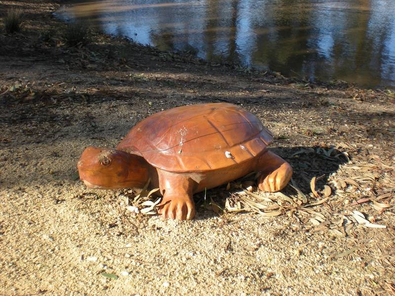 A Full size Turtle statue carved with a chainsaw by John Brady